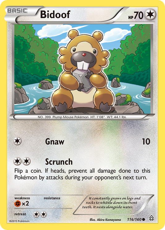 Bidoof - 116/160 - Primal Clash