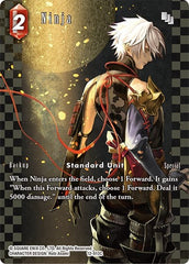 Ninja - 12-013C - Common (Full Art) - Opus XII