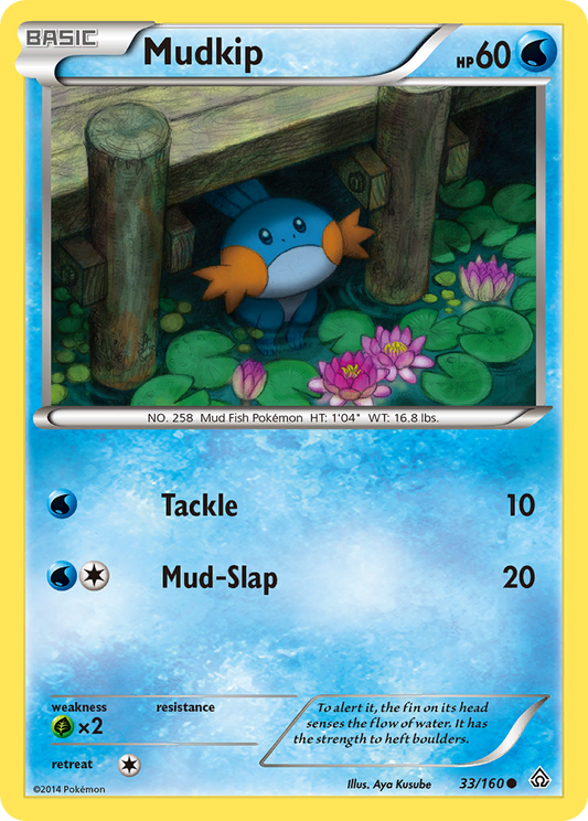 Mudkip - 033/160 - Primal Clash