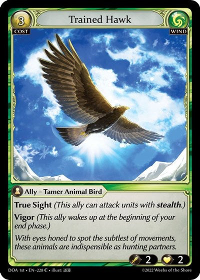 Trained Hawk - 228 - Common - Dawn of Ashes 1st Edition