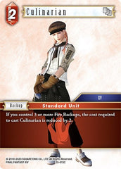 Culinarian - 20-013C - Common - Dawn of Heroes