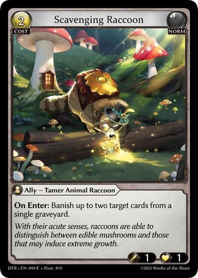 Scavenging Raccoon - 090 - Common - Distorted Reflections