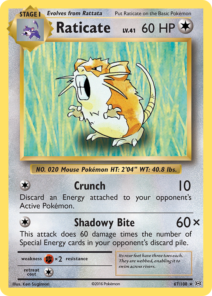 Raticate - 067/108 - Evolutions