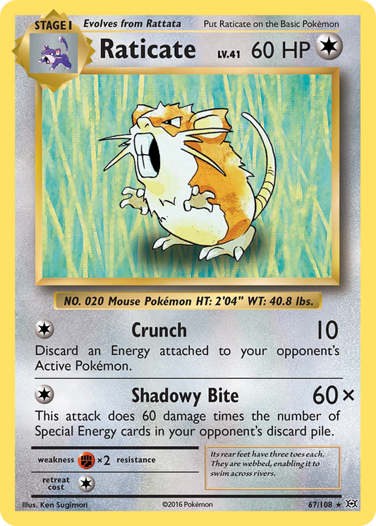 Raticate - 067/108 - Evolutions