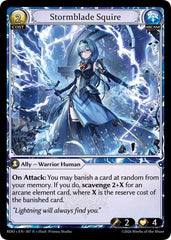 Stormblade Squire - 307 - Rare - Radiant Origins