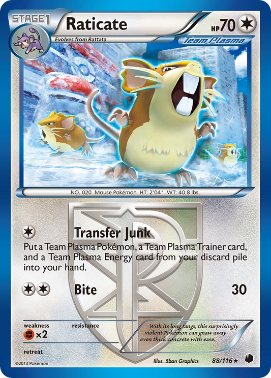 Raticate - 088/116 - Plasma Freeze