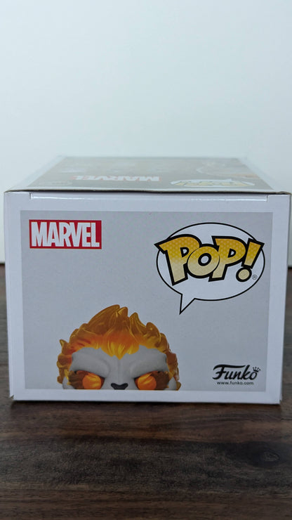 Ghost Panther - #863 - GITD - Funko Insider Club Gamestop Exclusive - (c)