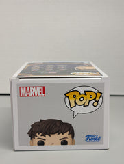 Spider-Man with Scars (Unmasked) - Limited Edition - #1169 - (KM)