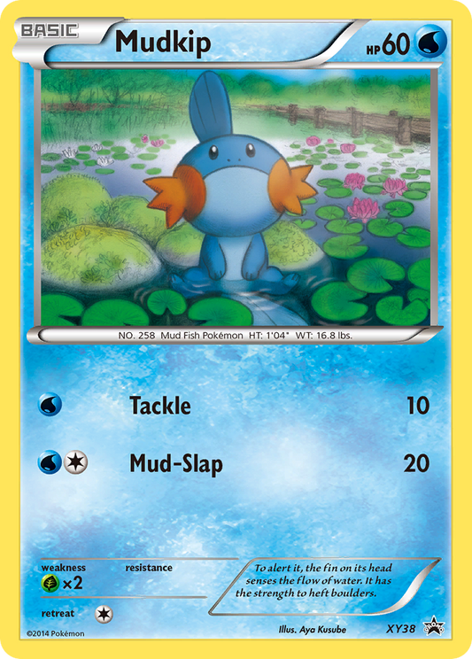 Mudkip - XY38 - XY Black Star Promos