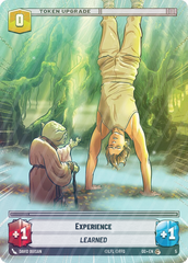 Experience - Foil