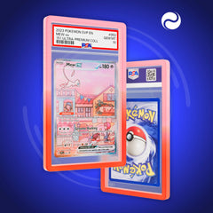 DragonScale - Bumper de protection PSA (Gradient)