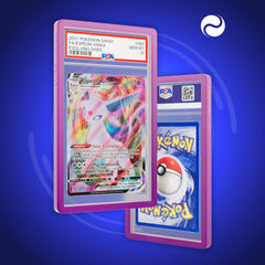 DragonScale - Bumper de protection PSA (Gradient)