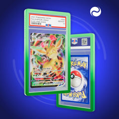 DragonScale - Bumper de protection PSA (Gradient)