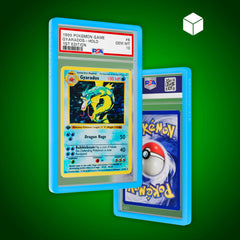 DragonScale - Bumper de protection PSA (Solide)