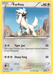 Furfrou - 16/30 - XY Trainer Kit Sylveon