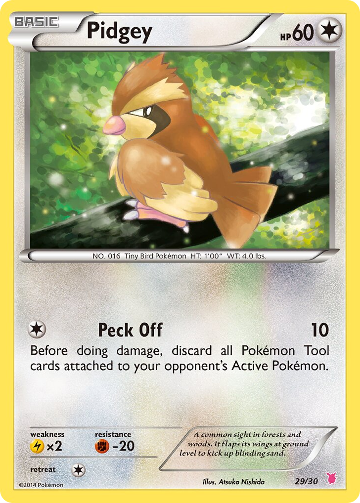 Pidgey - 29/30 - XY Trainer Kit Wigglytuff