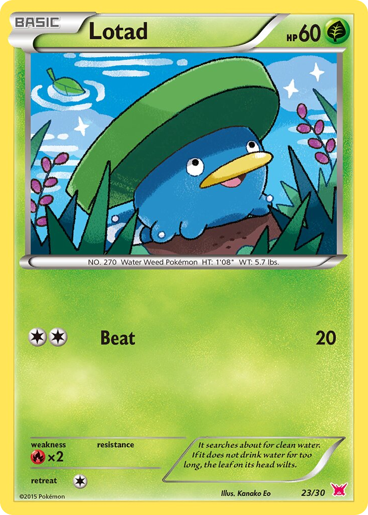 Lotad - 23/30 - XY Trainer Kit Latias