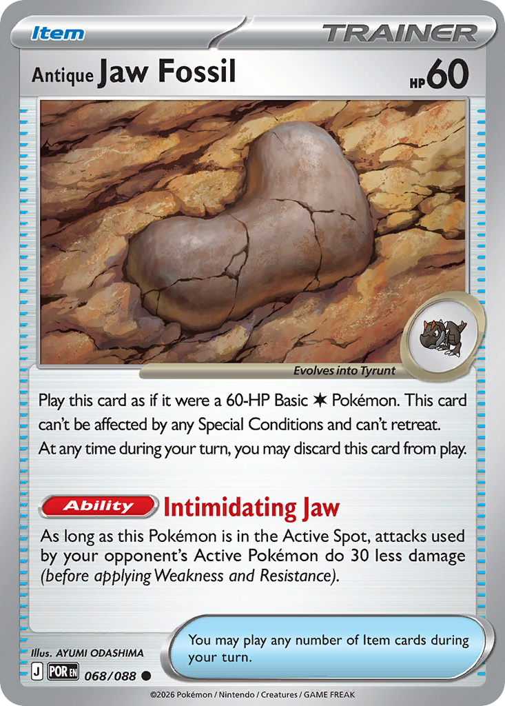 Antique Jaw Fossil - 68/88 - Perfect Order