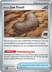 Antique Jaw Fossil - 68/88 - Perfect Order