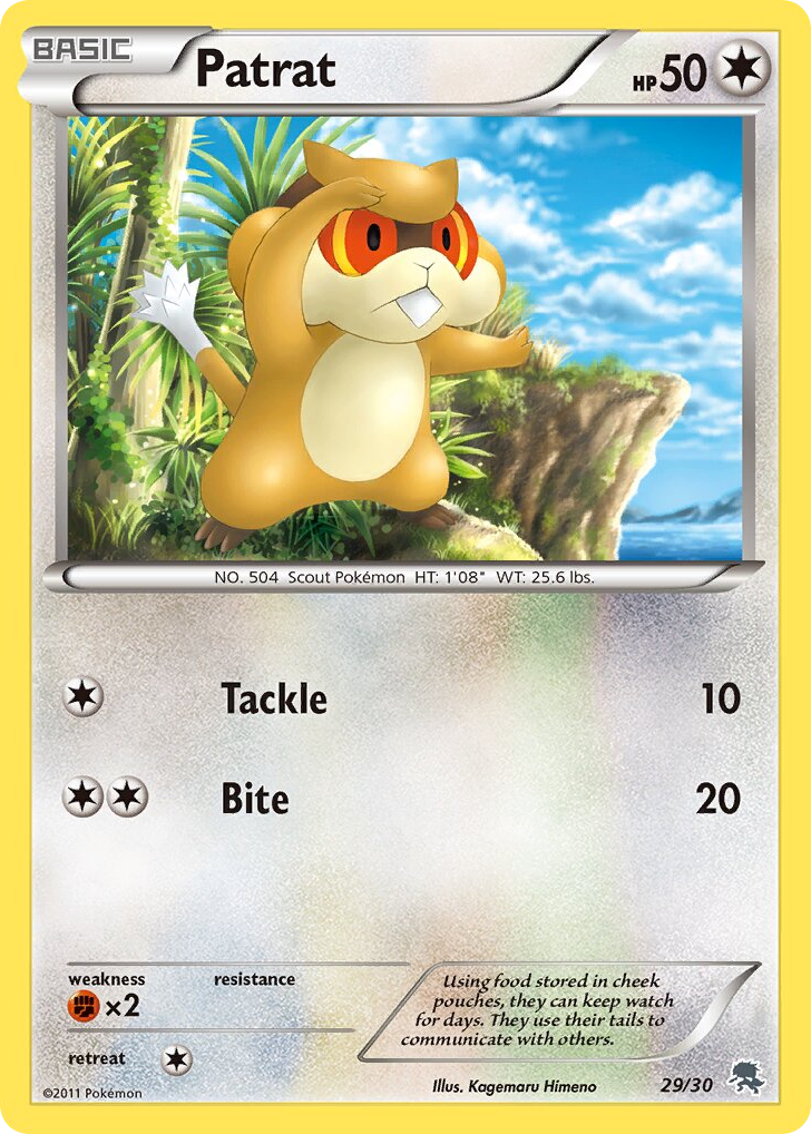 Patrat - 29/30 - BW Trainer Kit Zoroark
