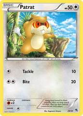 Patrat - 29/30 - BW Trainer Kit Zoroark