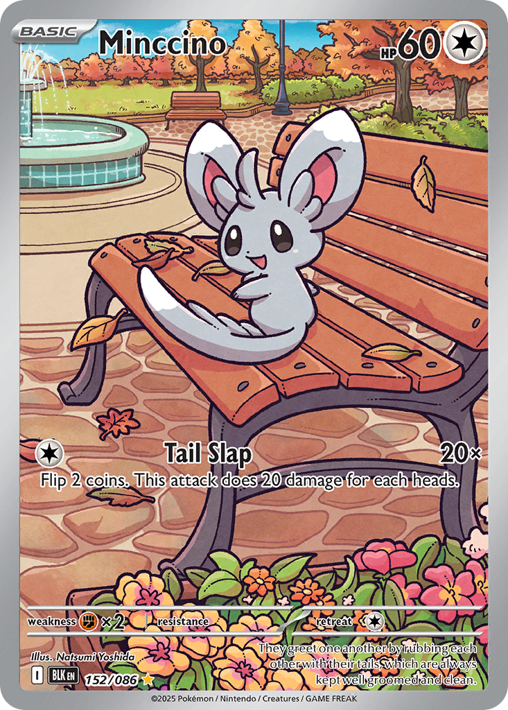 Minccino - 152/86 - Black Bolt