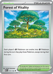 Forest of Vitality - 117/132 - Mega Evolution