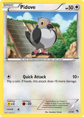 Pidove - 21/30 - BW Trainer Kit Zoroark