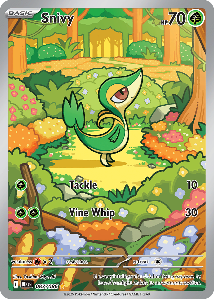 Snivy - 87/86 - Black Bolt