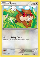 Patrat - 17/30 - XY Trainer Kit Bisharp
