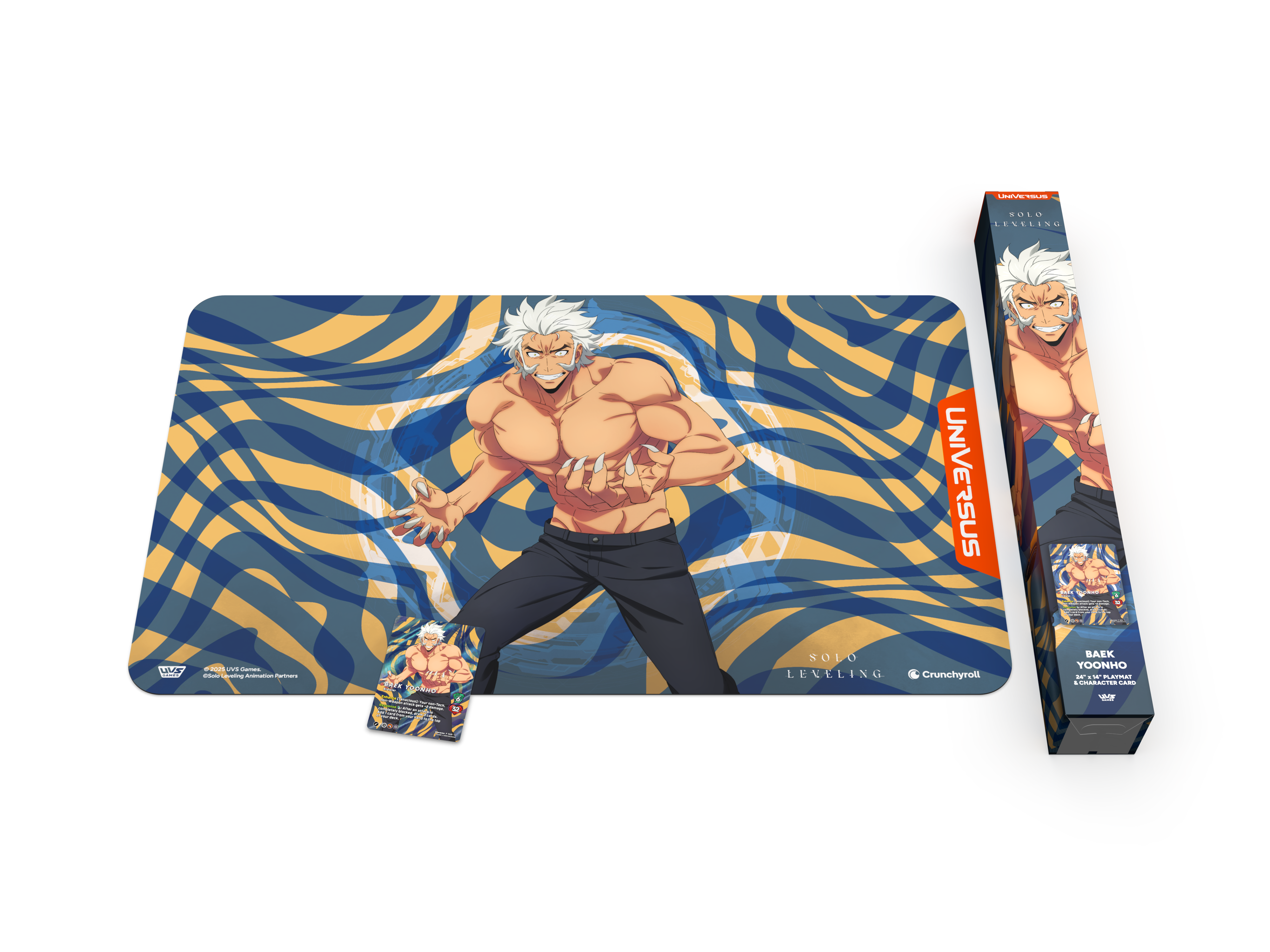 SOLO LEVELING S-RANK HUNTER BUNDLE BAEK YOONHO (6)
