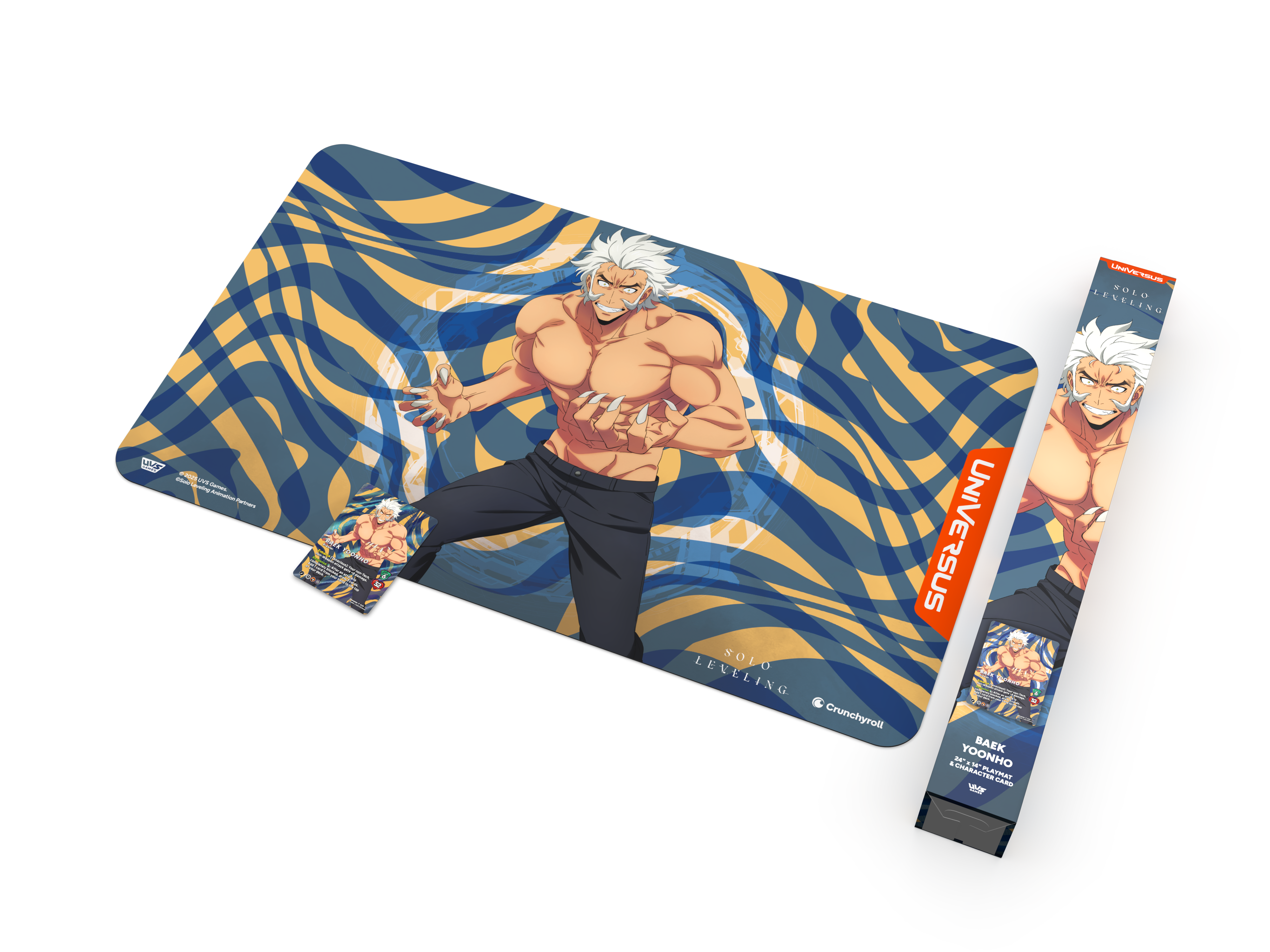 SOLO LEVELING S-RANK HUNTER BUNDLE BAEK YOONHO (6)