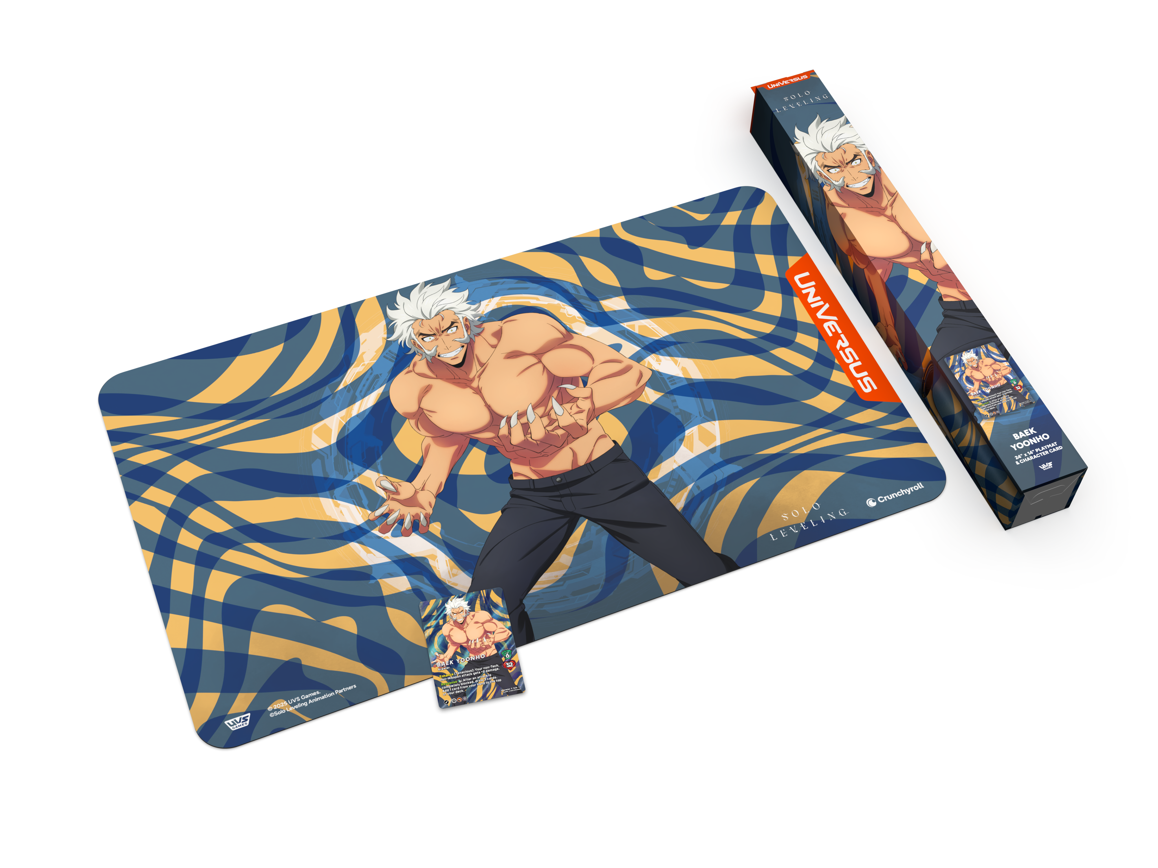 SOLO LEVELING S-RANK HUNTER BUNDLE BAEK YOONHO (6)