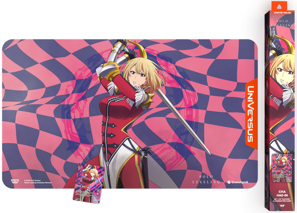 SOLO LEVELING S-RANK HUNTER BUNDLE CHA HAE-IN (6)