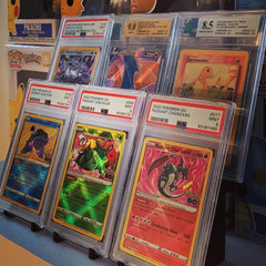 Support de cartes de collections / Collector card holder