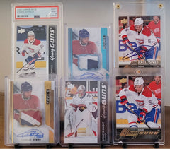 Support de cartes de collections / Collector card holder