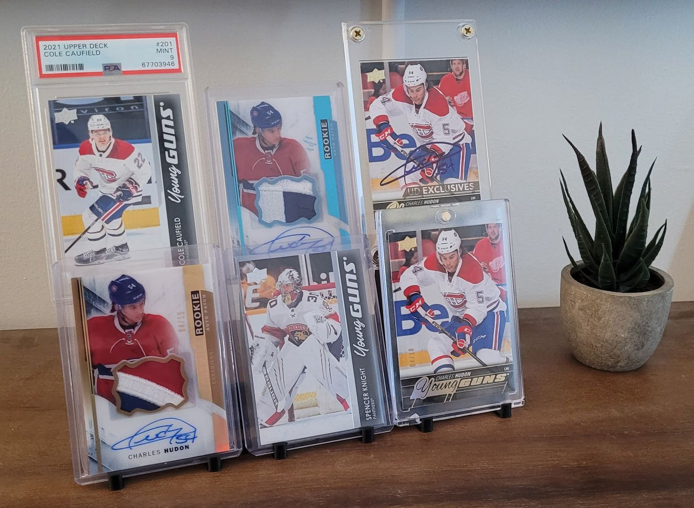 Collector card holder / Collector card holder